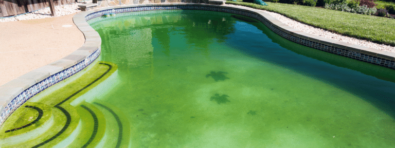 Agua verde piscina Tenerife antes y después